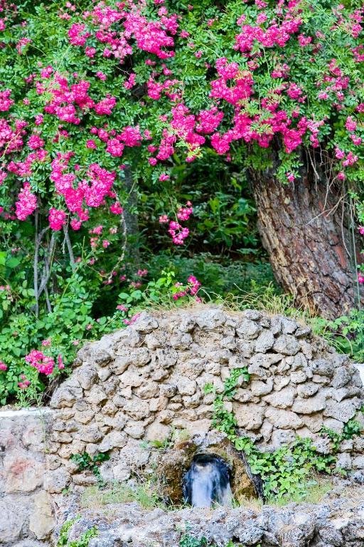 Hotel Rural Noguera De La Sierpe Arroyo Frio Εξωτερικό φωτογραφία